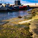 L'appetibilit� della zona era tra l'altro acuita da alcune sorgenti di acqua dolce che dall'entroterra defluivano verso il mare. Addirittura si riteneva avessero propriet� curative: il liquido che sgorgava era soprannominato "acqua di Cristo". Peccato siano state cementate dal moderno lungomare